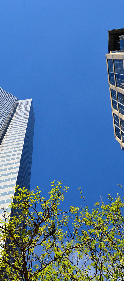 拍卖 · 品牌 · 定制 · 运营